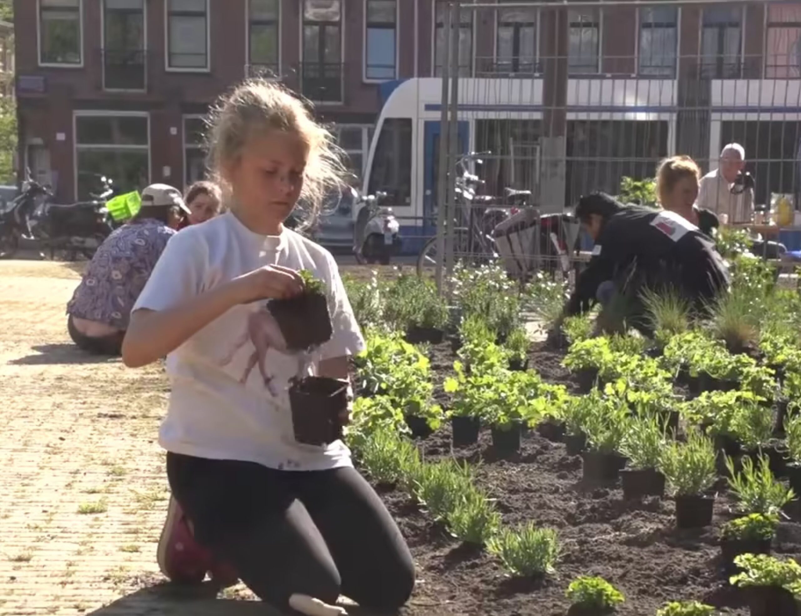 film vergroenen pleinen - GWL Terrein